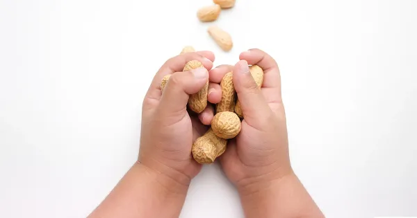 Las directrices actualizadas recomiendan el consumo de cacahuates durante la infancia para reducir el riesgo de alergia