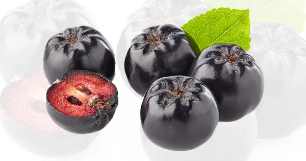 ¿Cuáles son los beneficios de la aronia (Chokeberries)?