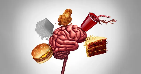 La comida chatarra podría provocar problemas de memoria en los adolescentes