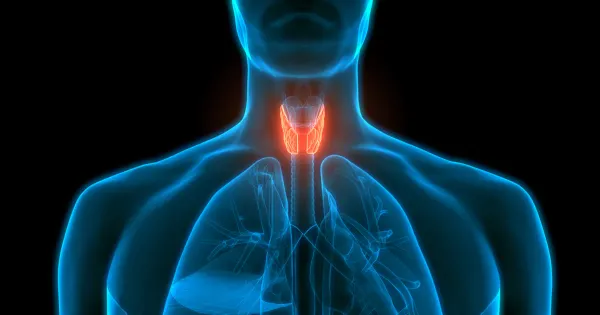 El desequilibrio hormonal que daña su cuerpo