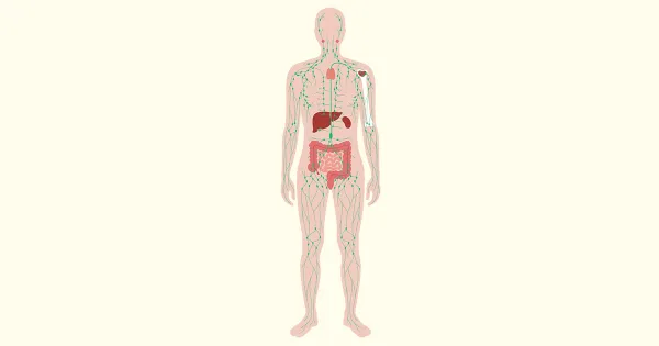 Los seis puntos clave en su cuerpo para aliviar el dolor crónico y mejorar su salud