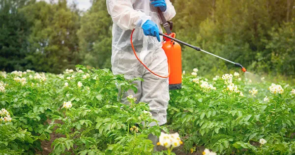 Impacto invisible: cómo los pesticidas amenazan la vida en gestación