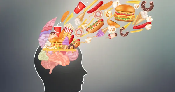 La comida chatarra programa su cerebro para comer más