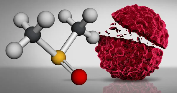 Una nueva esperanza contra el cáncer: esta sustancia sorprendente puede detener los tumores