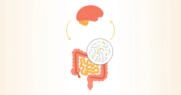 Mantenga el estrés bajo control con la ayuda de estas bacterias saludables